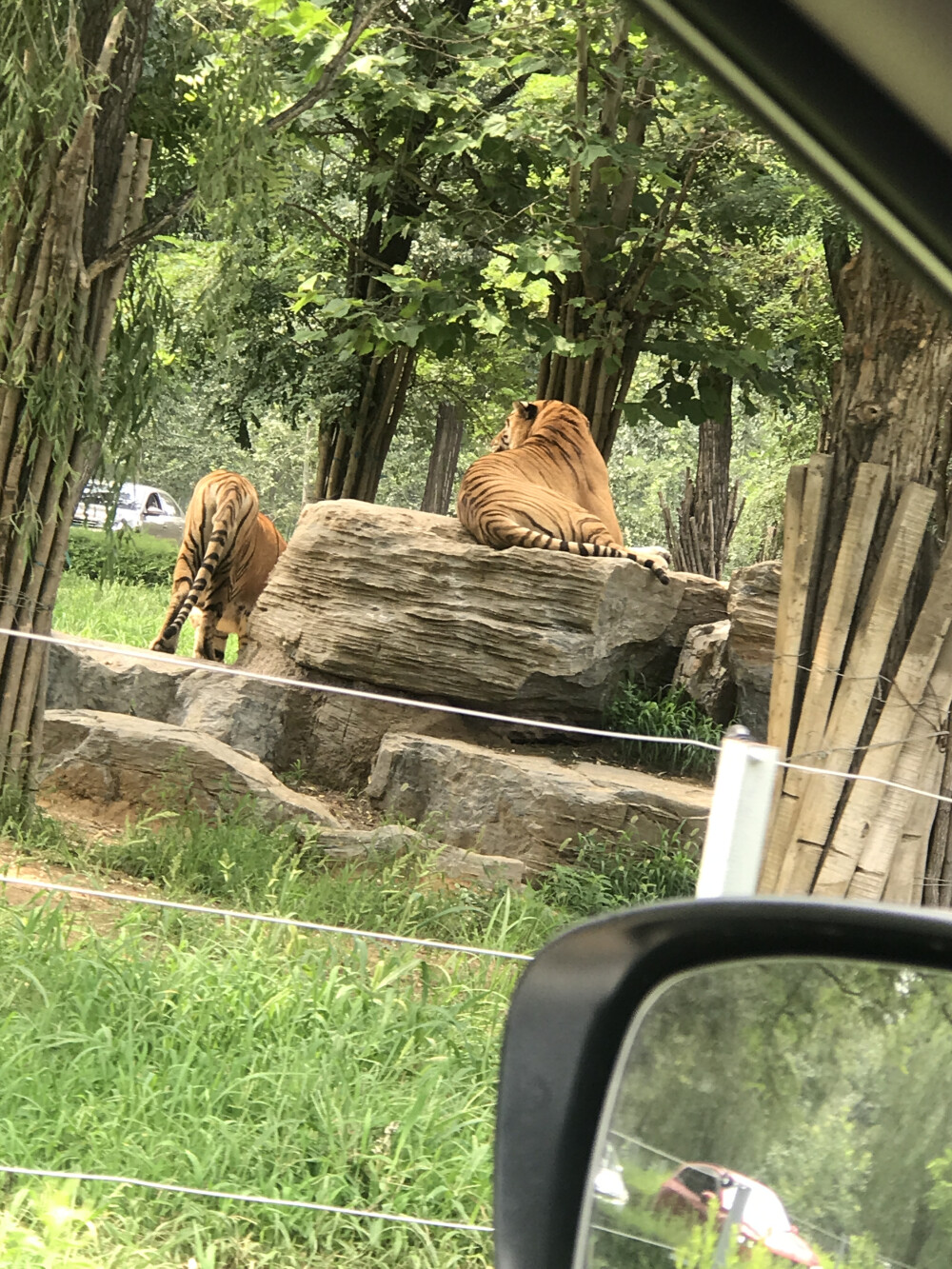 秦皇岛野生动物园