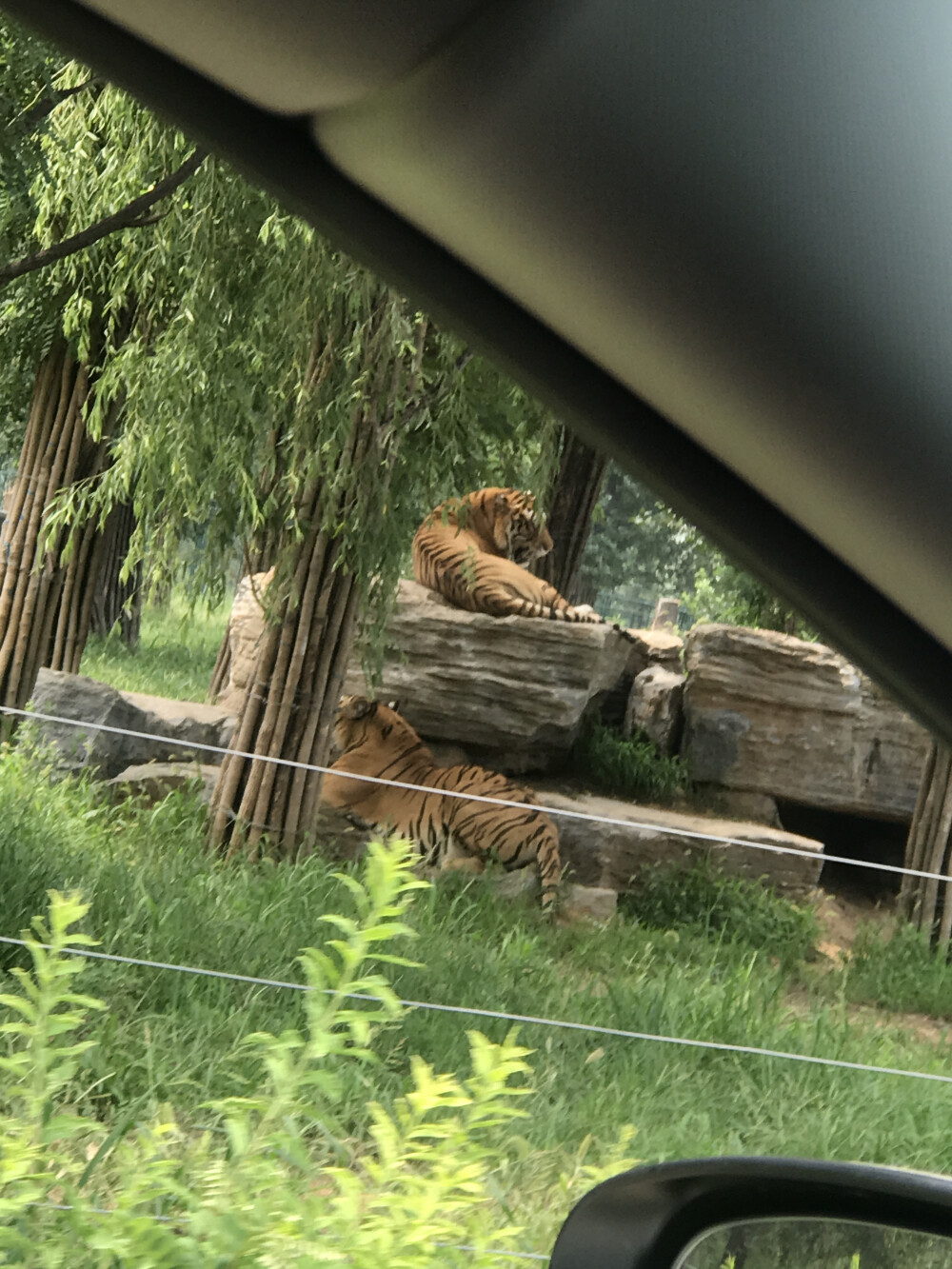 秦皇岛野生动物园