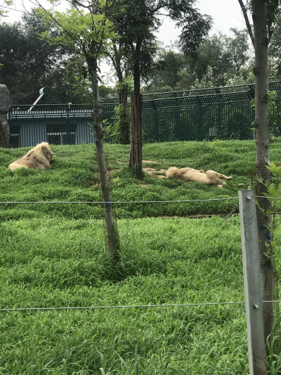 秦皇岛野生动物园