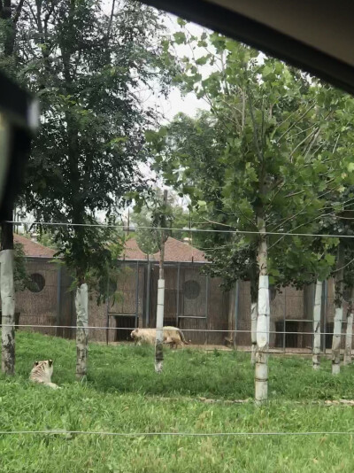 秦皇岛野生动物园