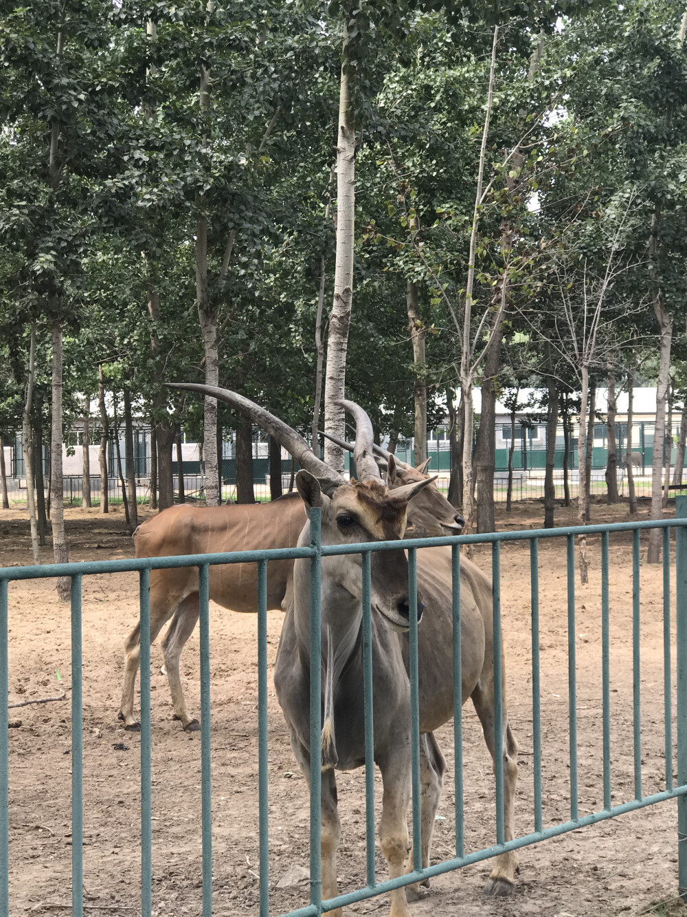 秦皇岛野生动物园