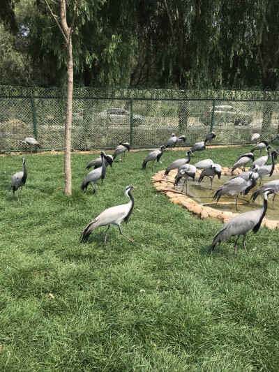 秦皇岛野生动物园