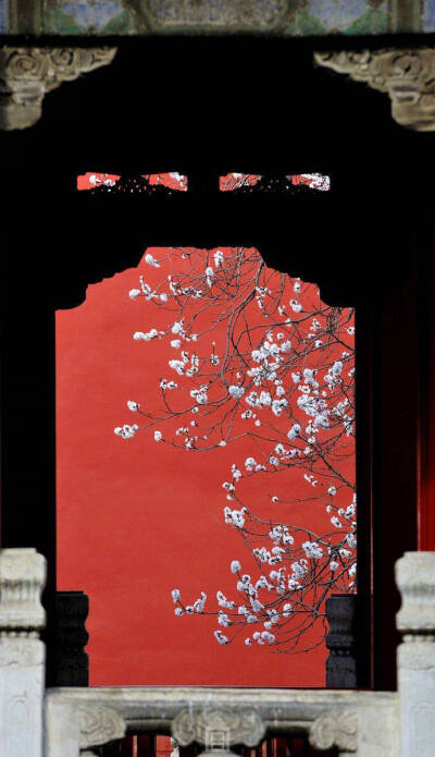 红墙印花影