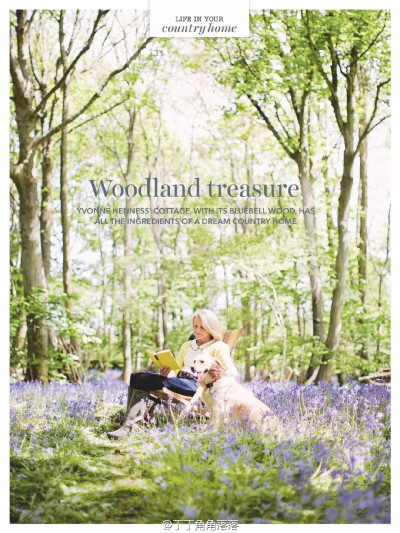 Woodland treasure，白调乡村风，主人有漂亮的浴室，还有更实用的单品推荐。（#country homes & interiors# May 2015) ​