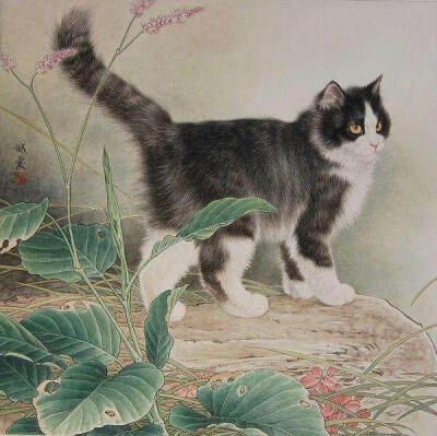 猫咪 工笔画 画家邢诚爱作品