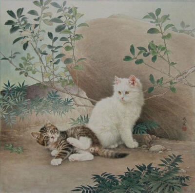 猫咪 工笔画 画家邢诚爱作品