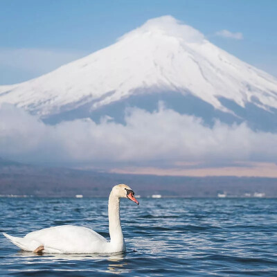 风景