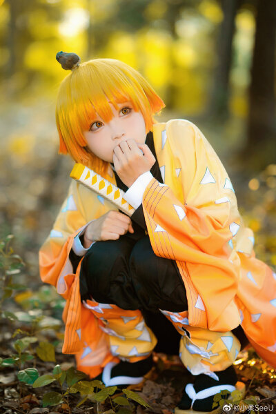 coser 小柔seeU
鬼妻之刃 我妻善逸