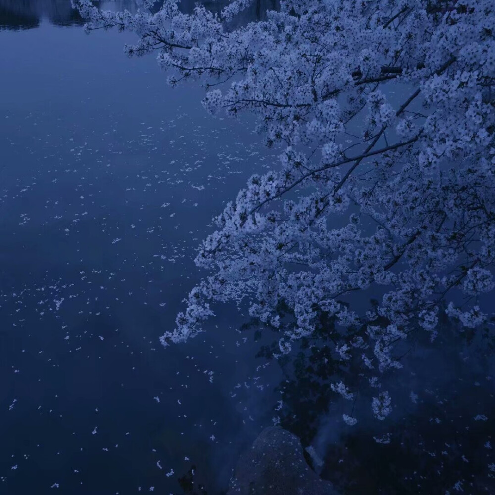 美学 蓝 壁纸