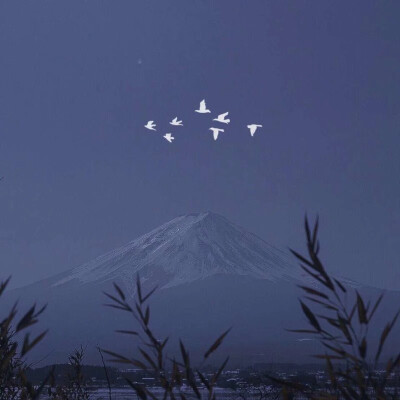 背景 蓝色 高清