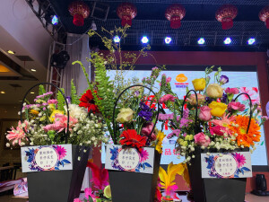 母亲节活动