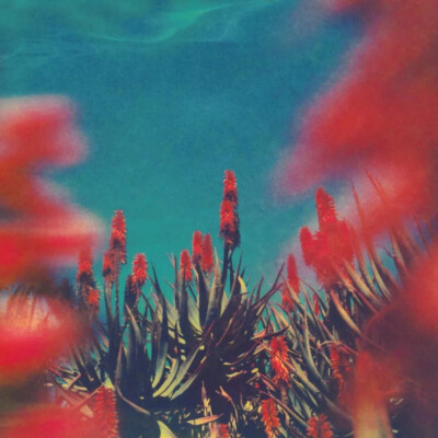 Neil Krug的作品迷幻而具有神秘感，他利用过期的宝丽来相纸拍摄出一种天地混沌之感，浓烈的色彩如同在水中晕开，营造粗粝的怀旧氛围。