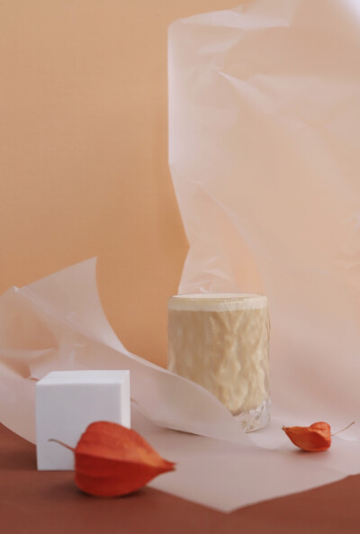 醉酒的植物学家与茶 新品