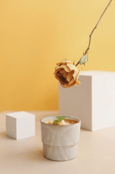 醉酒的植物学家与茶 新品