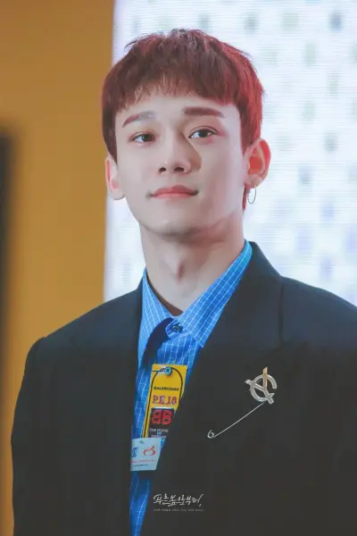 EXO☆CHEN☆钟大