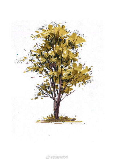 马克笔画树用什么色号图片