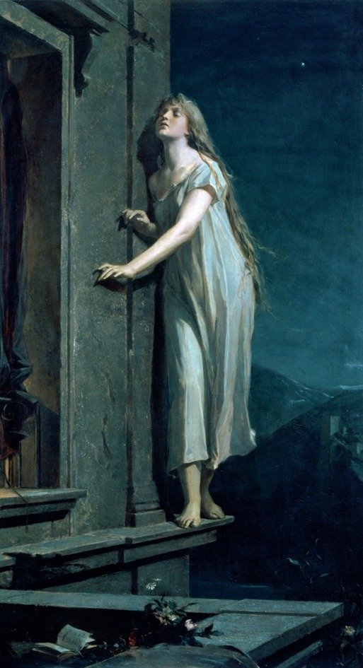 The Sleepwalker - Maxmilian Pirner ​​​​