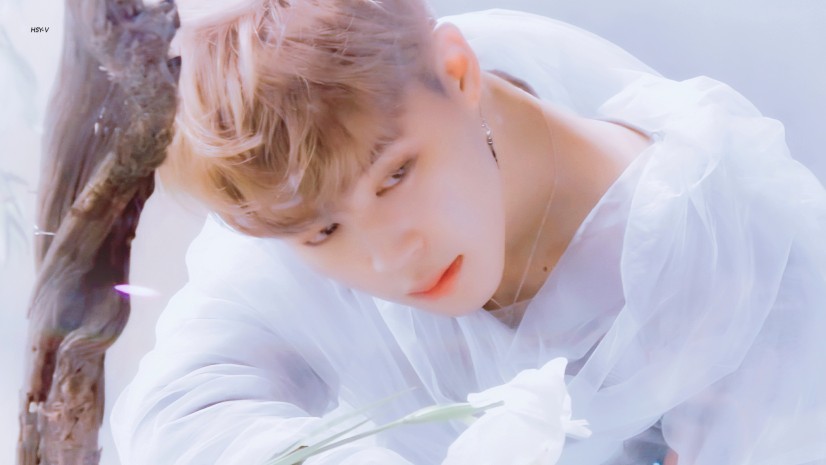 朴智旻
BTS MEMORIES OF 2018
©HSY-V