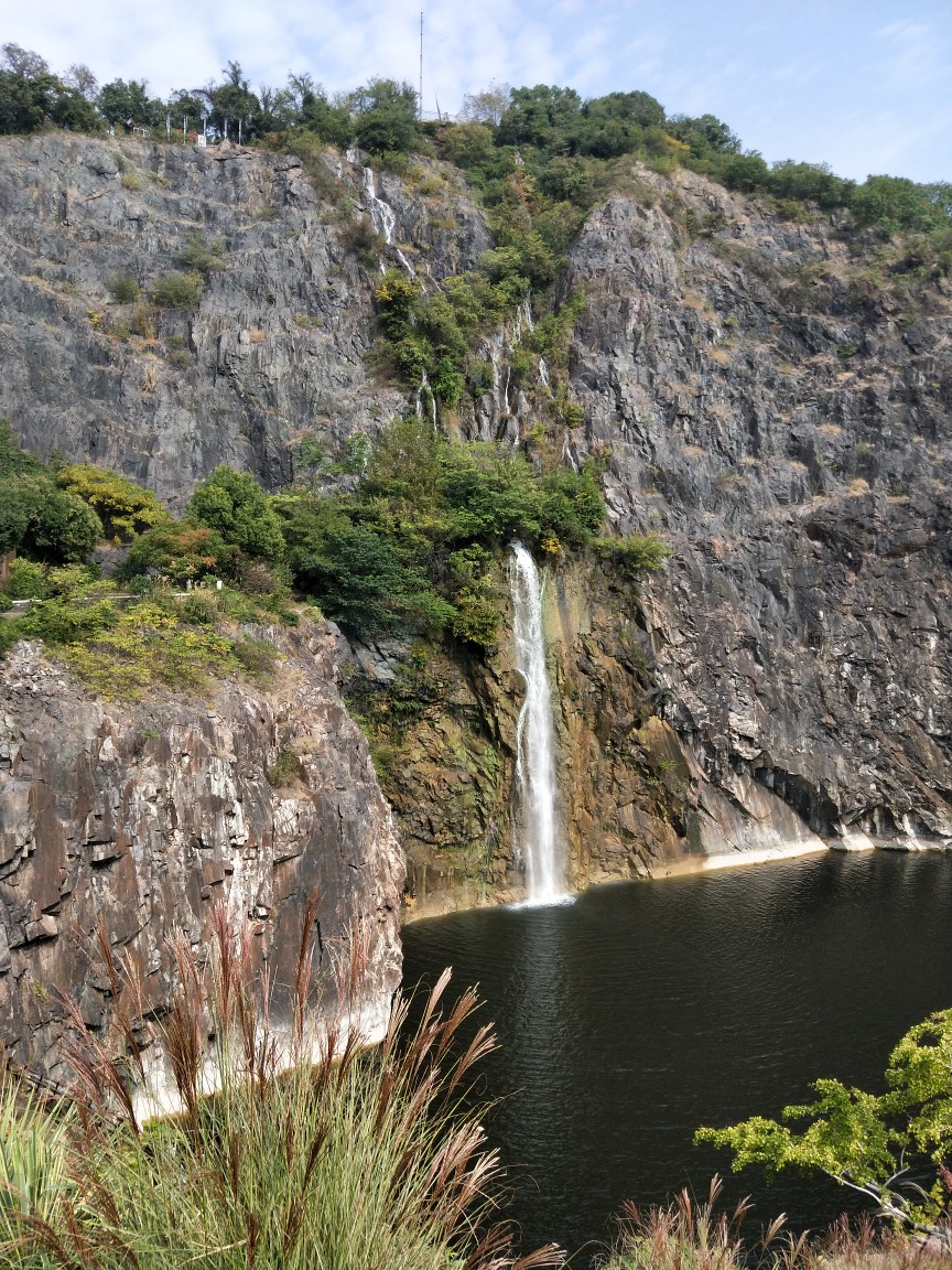 2019-10-25上海辰山植物园