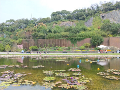 2019-10-25上海辰山植物园