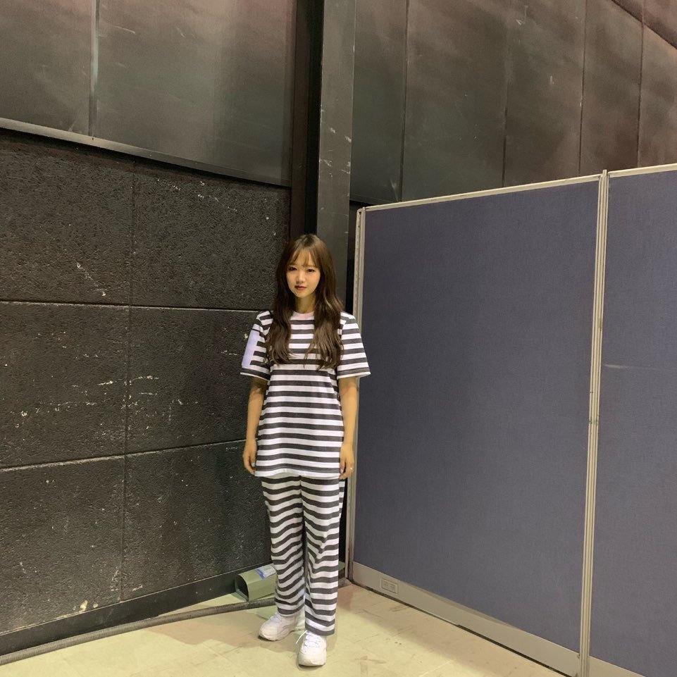 磪有情