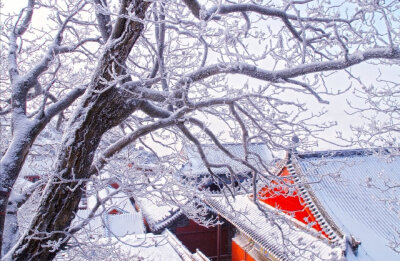 春水满四泽，夏云多奇峰。秋月扬明晖，冬岭秀孤松 。
微博：中国书画诗词院
仅作欣赏，禁止商用