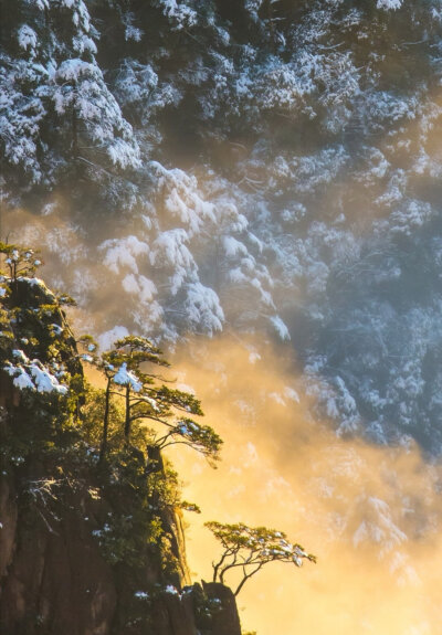 春水满四泽，夏云多奇峰。秋月扬明晖，冬岭秀孤松 。
微博：中国书画诗词院
仅作欣赏，禁止商用