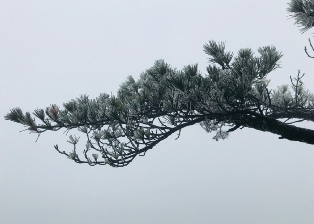 春水满四泽，夏云多奇峰。秋月扬明晖，冬岭秀孤松 。
微博：中国书画诗词院
仅作欣赏，禁止商用