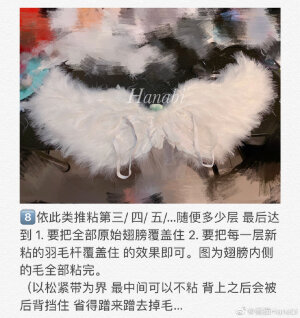 翅膀，来源见水印