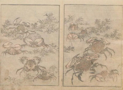 ▲葛飾北斎『北斎画式』、1819、墨摺、26.1 x18.5cm、浦上蒼穹堂、p.153