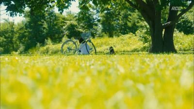 《风平浪静的闲暇》