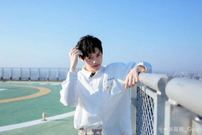 高杨
