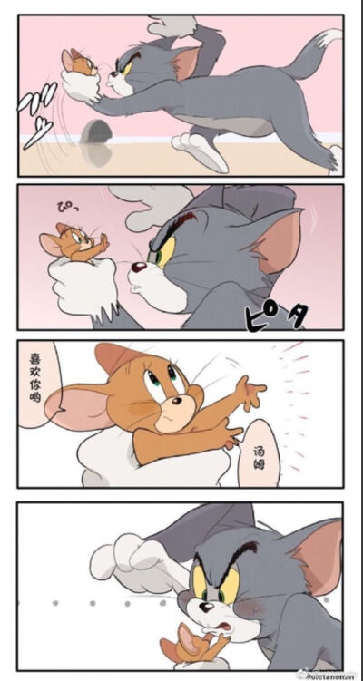 猫和老鼠