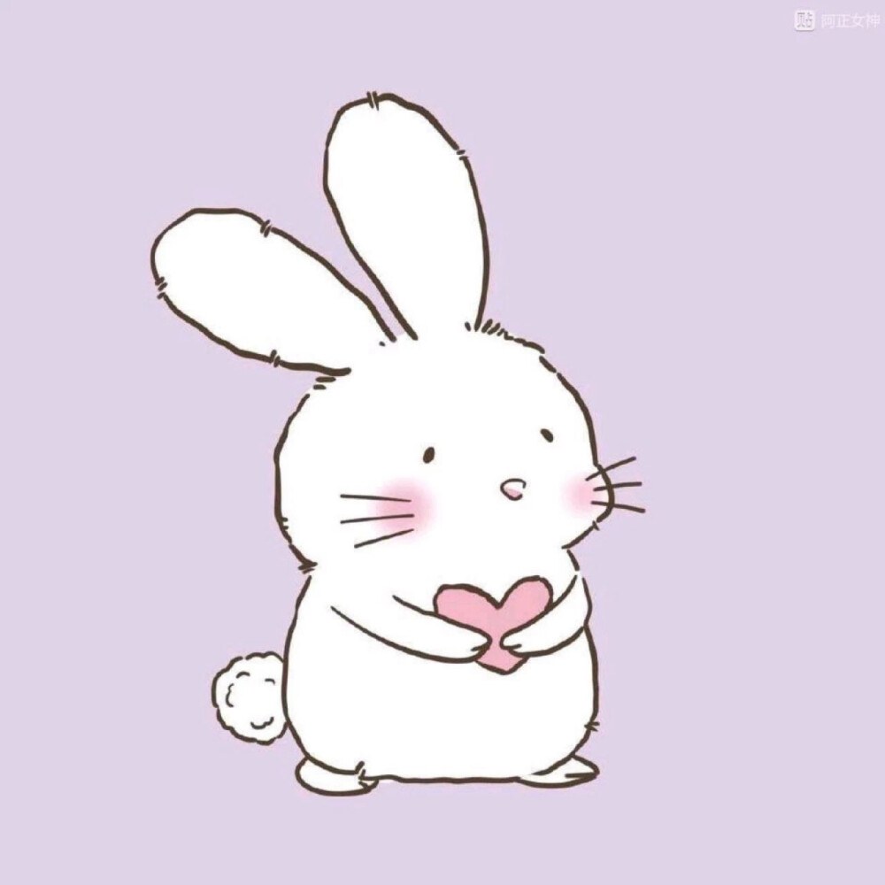 兔兔