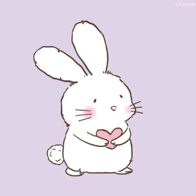 兔兔