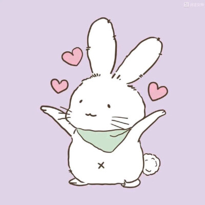 兔兔