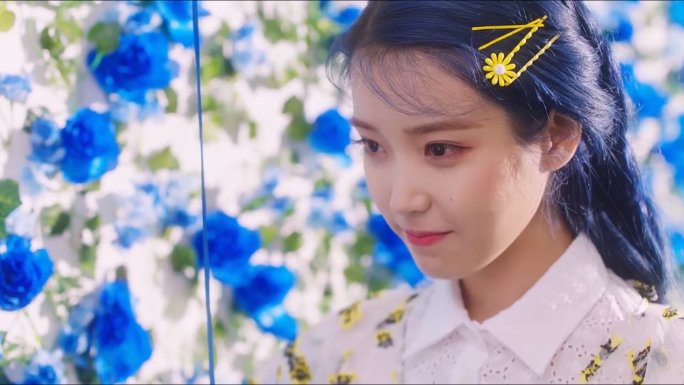IU
可二改看简介