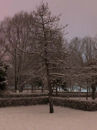 下雪啦小宝贝，钟钟要穿多多哦