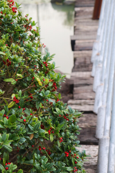 ⁼̴̤̆ ꇴ ⁼̴̤̆