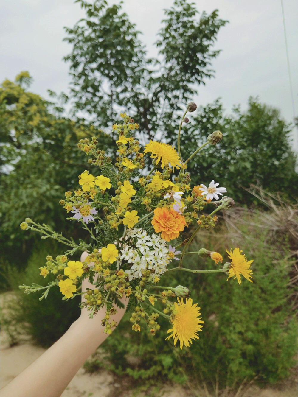 喏~花花送你