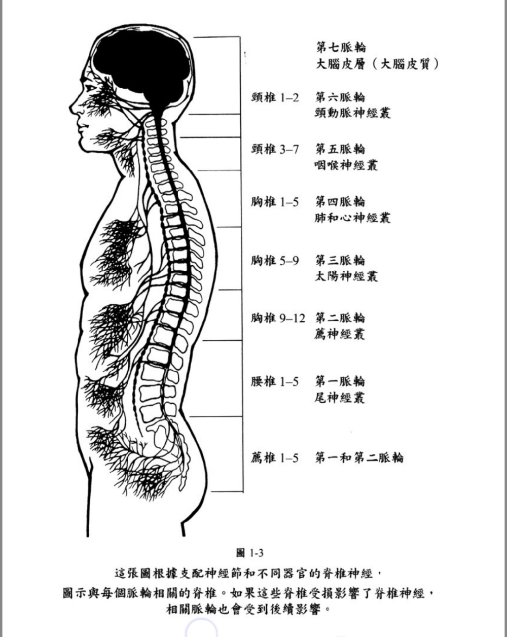 脉轮