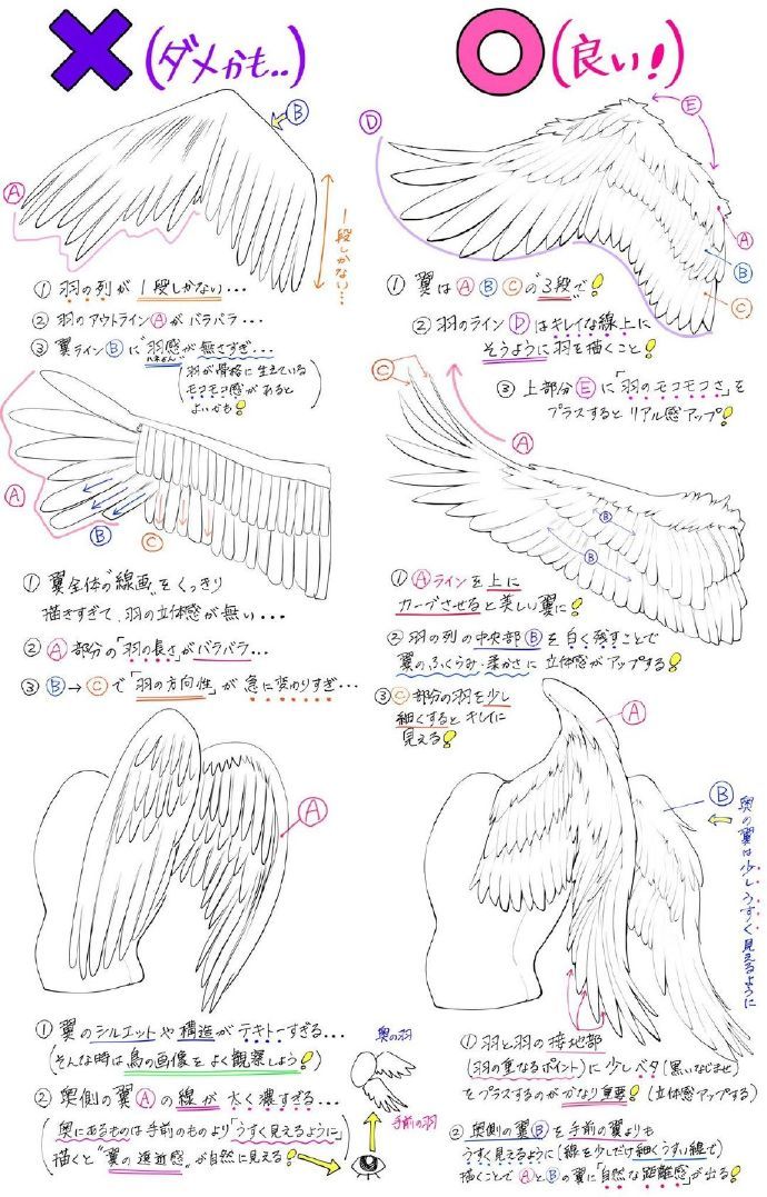 翅膀绘制教程 绘画素材