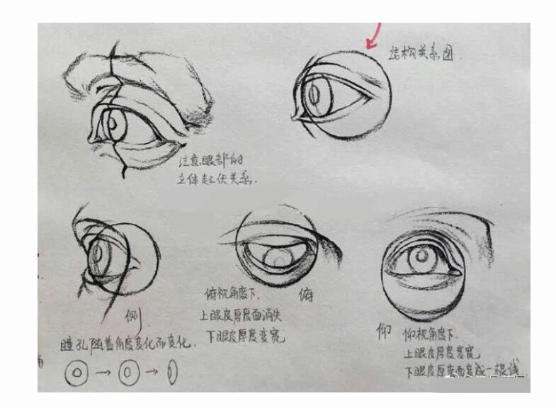 五官眼睛鼻子素材