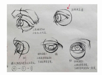 五官眼睛鼻子素材