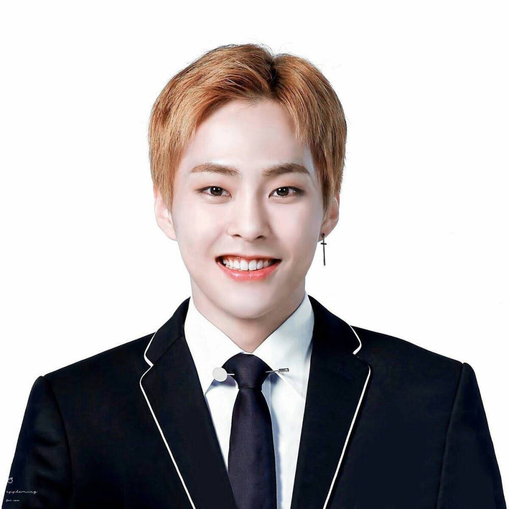 EXO xiumin 金珉锡 秀珉