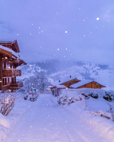 雪景