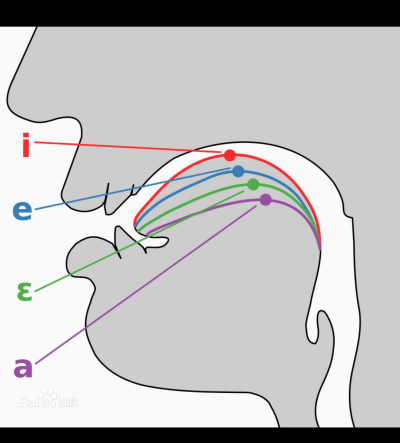 元音舌位图