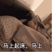 表情包 可爱