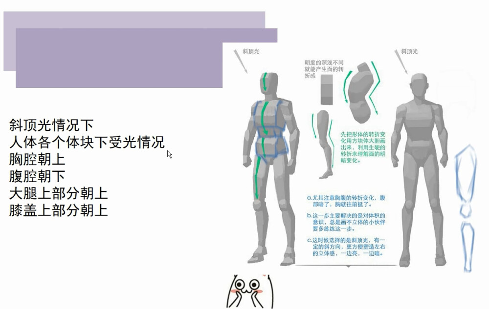 人体骨骼结构教程