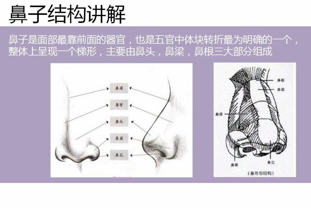 眼睛鼻子